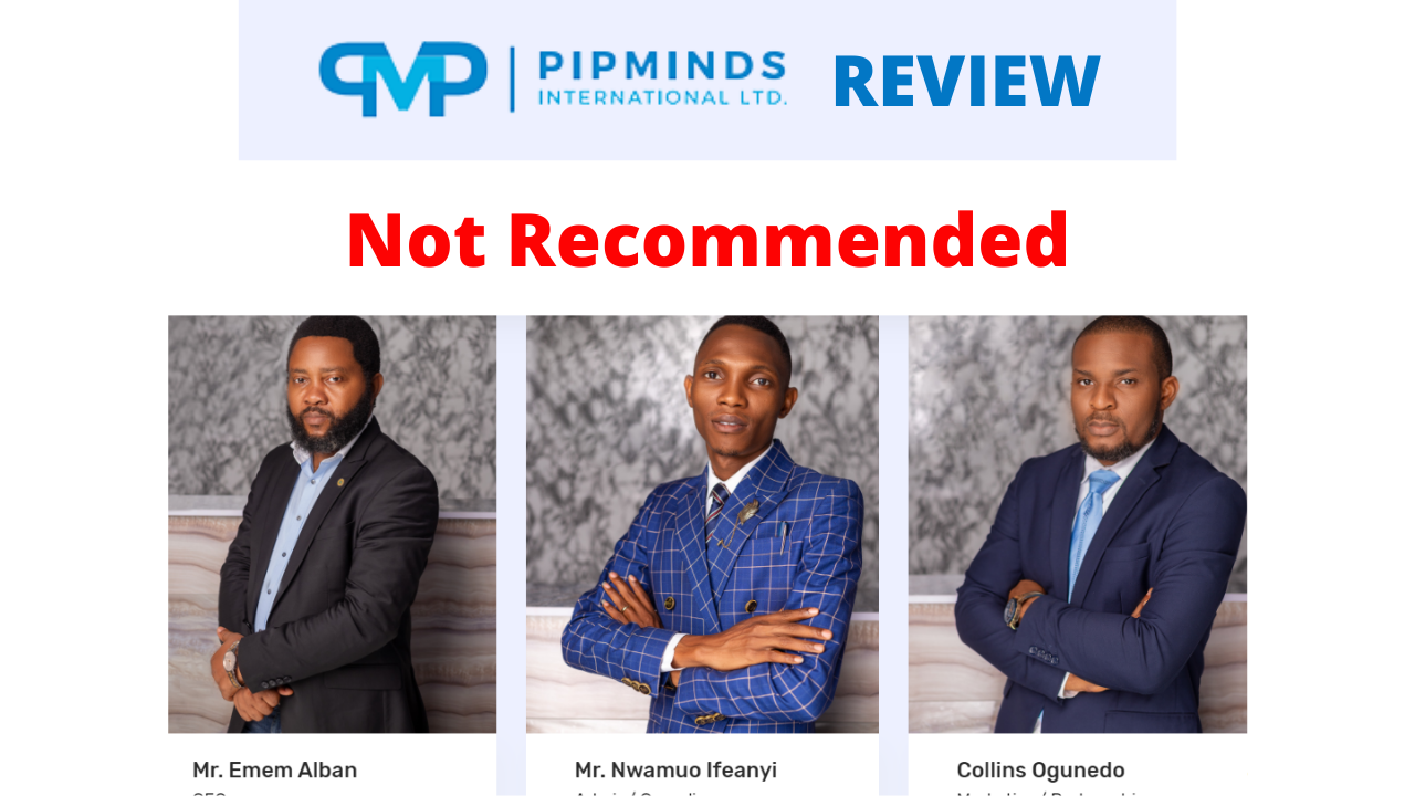 Pipminds international LTD review A Weird Investment Platform