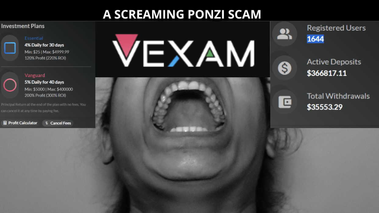 Inside the new Vexam.com Ponzi scheme