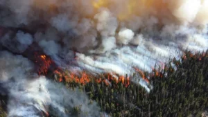 A Planet in Peril: The Global Surge of Wildfires and the Multi-Faceted Battle for Survival