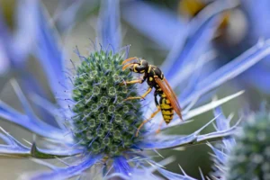 Beyond the Buzz: The Unsung Heroes of Global Pollination