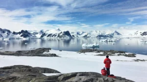 Robotic Sentinel Unveils Colossal Icefish Breeding Ground Beneath Antarctic Ice