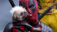 Ryan Reynolds Confirms Future for Deadpool Franchise Beyond Deadpool & Wolverine