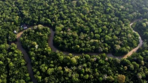 The Earth’s Unseen Lifeline: How Sahara Dust Fertilizes the Amazon Rainforest