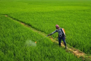 The Glyphosate Paradox: Navigating the Global Tension Between Food Security and Chemical Regulation