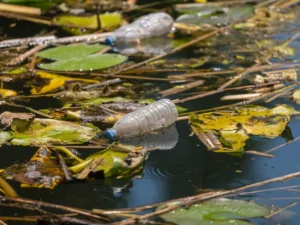 The Hidden Tide: Why the Battle Against Plastic Pollution Starts Far Upstream