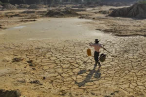 The Perfect Storm: How the Looming El Niño Threatens Global Food Security