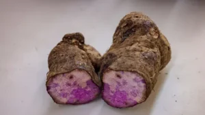 The Purple Revolution: Why Ube is More Than Just a Social Media Sensation