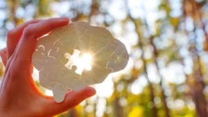 Beyond Digestion: How Fermented Foods Act as a Superfuel for Your Brain