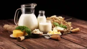 Beyond the Cow: A Comprehensive Nutritional Guide to Protein-Rich Milks