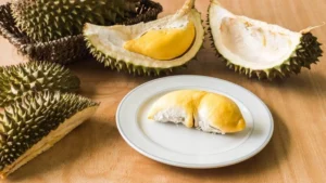 Beyond the King of Fruits: A Comprehensive Guide to Malaysia’s Premium Durian Varieties