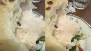 Culinary Nightmare: High-End Restaurant Chain Under Fire After Customer Finds Live Worms in Sandwich