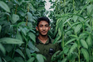 Cultivating the Future: How Global Youth are Redefining Agrifood Systems