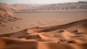 Echoes from the Deep: Ancient Shark Graveyard Unearthed in Egyptian Desert Rewrites Prehistoric Marine History