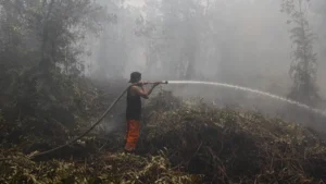 Escalating Wildfire Crisis: Kalimantan Tengah Reports Massive Surge in Hotspots as Visibility Plummets Across Indonesia