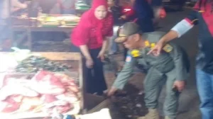 Fatal Slippery Roads: The Crisis at Kramat Jati and the Urgent Call for Reform