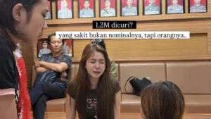 From Digital Success to Personal Betrayal: The Complex Journey of Content Creator Vilmei