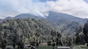 Inferno in the Highlands: Massive Wildfire Devastates Bromo Tengger Semeru National Park
