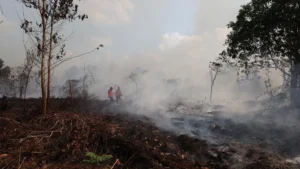 Kalimantan’s Agony: A Global Warning as Climate Change Fuels Extreme Wildfires