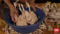 North Sumatra Grapples with Soaring Chicken Prices Amidst Rising Production Costs and Inflationary Fears