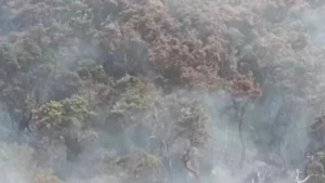 Relentless Battle Against Wildfire: Kawah Wadon Faces Unprecedented Ecological Threat