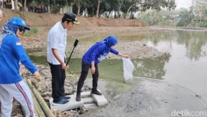 Revitalizing Serang’s Urban Oasis: The Push to Transform Situ Ciwaka into a Sustainable Public Sanctuary