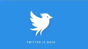 The Bluebird’s Bold Flight: "Twitter.now" Emerges from Legal Battle, Challenging X’s Dominance
