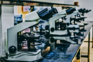 The Invisible Crisis: Dr. Shanna Swan on the Global Collapse of Reproductive Health