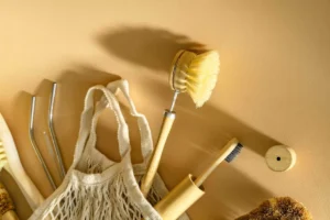 The Plastic Paradox: Transforming Personal Identity into Global Environmental Change