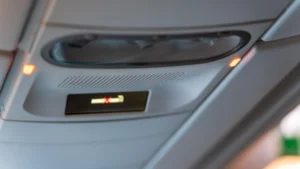The Unwritten Rules of the Skies: A Flight Attendant’s Guide to Using the Call Button
