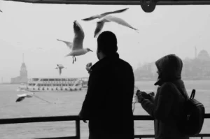 The Winged Sentinel: Why Birdwatching’s Rise Must Spark an Environmental Reckoning