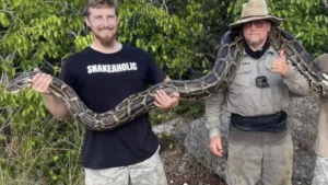 Veteran Python Hunter Conquers Everglades with Electric Bikes, Secures 2026 Challenge Title Amidst Relentless Invasive Species Battle