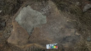 Ancient Chariot Carving in Helan Mountains Unlocks New Insights into Han Dynasty Society and Cultural Exchange