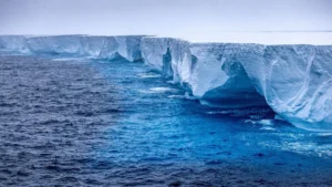 Antarctic Revelation: Lost World Thrives Beneath Decades of Ice