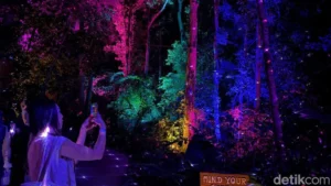Beyond the Shadows: An Immersive Journey into the Mystical Dream Forest of Langkawi