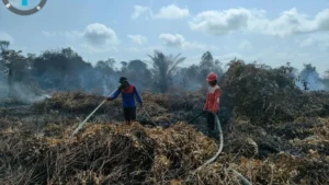 Forest Fires Ravage Muara Kendawangan Nature Reserve: Illegal Hunting Suspected as Catalyst