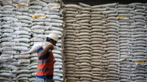 Indonesia Secures Record Rice Reserves: Bulog Manages 4.8 Million Tons Amidst Storage Overflow