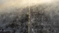 Indonesian Authorities Seal Fire-Affected Land Amidst Suspected Illegal Palm Oil Expansion in West Kalimantan