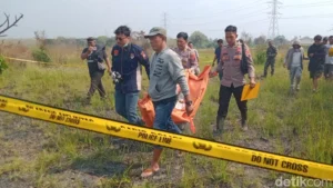 Mystery of Skeletal Remains in Klaten Solved: Missing Elderly Man Found After Five Months
