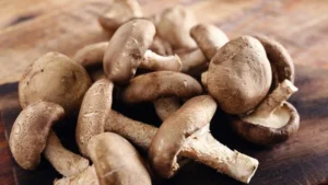 Strengthening Your Biological Shield: 5 Essential Foods to Boost Immunity Beyond Ginger