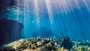 The "Fecal Revolution": How Ancient Animal Waste Transformed Earth’s Oceans 540 Million Years Ago