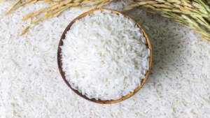 The Fortified Rice Controversy: Unpacking the Nutritional Promise and Market Misconduct in Indonesia