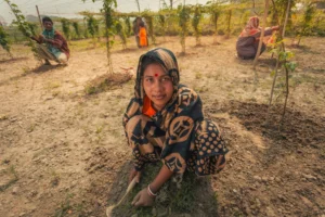 The Gendered Frontline: Why Women’s Equality is the Catalyst for Climate Action