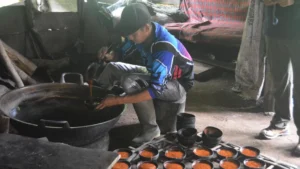 The Golden Sap of Minahasa: Elevating the ‘Tree of Life’ into a Sustainable Agrotourism Frontier