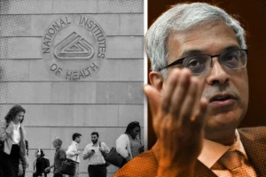 The Great Disruption: Inside Jay Bhattacharya’s Contentious Tenure at the NIH