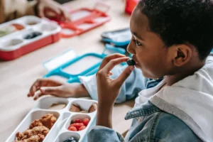 Fueling the Future: How Europe’s School Meal Revolution is Redefining Student Health and Sustainability