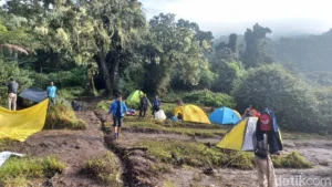 Green Light for Adventure: Kerinci Seblat National Park Reopens Climbing Trails Following Safety Assessment