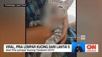 Indonesia Grapples with Viral Incidents: Animal Cruelty and Public Infrastructure Vandalism Spark National Debate