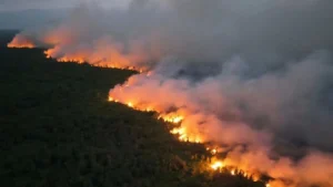 The Dual Shadow: How Wildfires Are Reshaping Indonesia’s Tourism Landscape